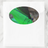 Blauwe Damselfly op een groen blad. Ovale Sticker (Tas)