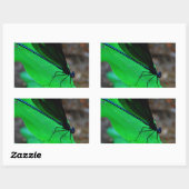 Blauwe Damselfly op een groen blad. Rechthoekige Sticker (Vel)