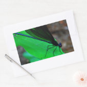 Blauwe Damselfly op een groen blad. Rechthoekige Sticker (Envelop)