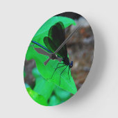 Blauwe Damselfly op een groen blad Ronde Klok (Hoek)