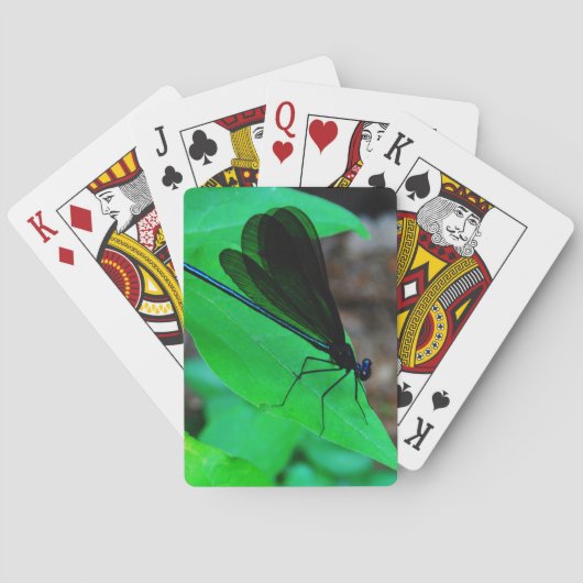 Blauwe Damselfly op een groen blad. Speelkaarten (Achterkant)