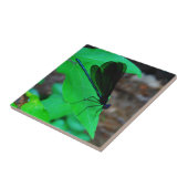 Blauwe Damselfly op een groen blad. Tegeltje (Zijkant)