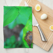 Blauwe Damselfly op een groen blad. Theedoek (Quarter Fold)