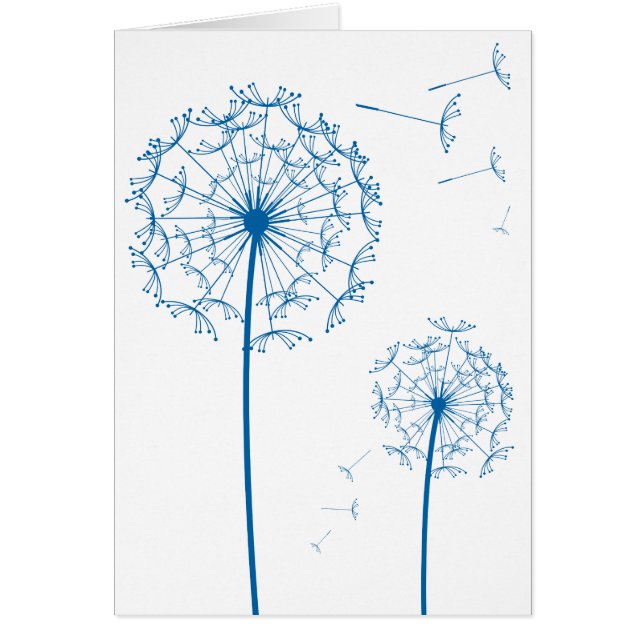 blauwe dandelion (Voorkant)
