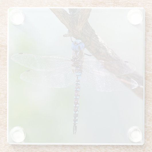 Blauwe darner Dragonfly Glazen Onderzetter (Achterkant)
