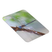 Blauwe darner Dragonfly Magneet (Rechterzijde)