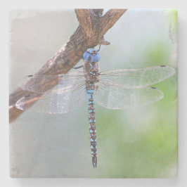 Blauwe darner Dragonfly Stenen Onderzetter