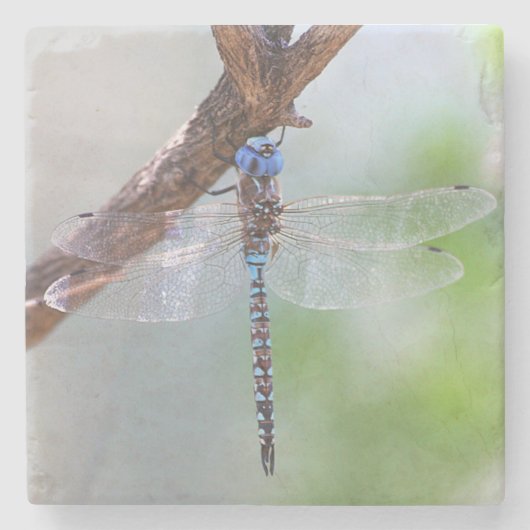 Blauwe darner Dragonfly Stenen Onderzetter (Voorkant)