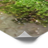 Blauwe dartkikker poster (Hoek)