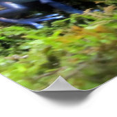 Blauwe dartkikker poster (Hoek)