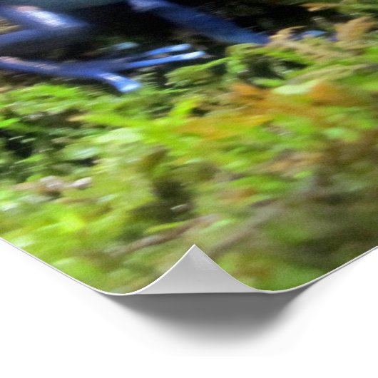 Blauwe dartkikker poster (Hoek)