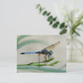 Blauwe Dasher op een ventilatorbud Briefkaart (Staand voorkant)