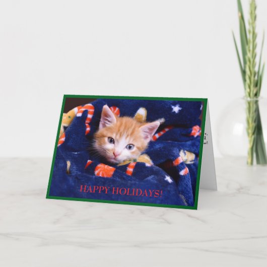 Blauwe Deken Kat Oranje Kitten Feestdagen Kaart (Voorkant)