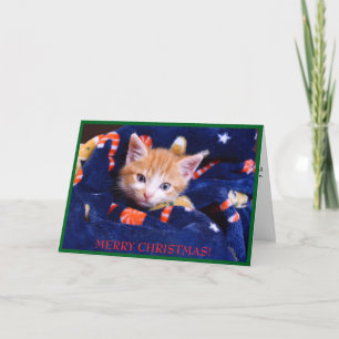 Blauwe Deken Kat Prettig Kerstfeest Oranje Kitten Feestdagen Kaart