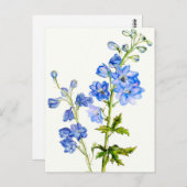 Blauwe delfiniums in het briefkaart van de waterve (Voorkant / Achterkant)