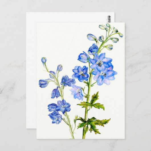 Blauwe delfiniums in het briefkaart van de waterve (Voorkant / Achterkant)