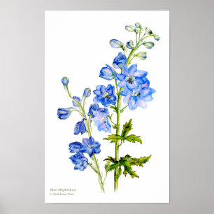 Blauwe delftsblauwe botanische fijne kunstposterpr poster