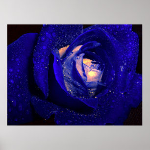 blauwe diamanten poster