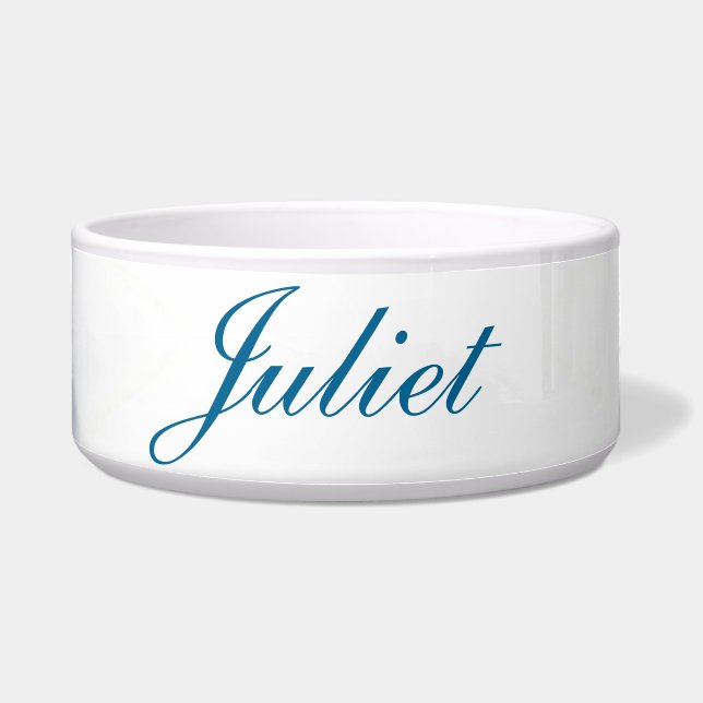 Blauwe diamanten voerbakje (Voorkant)