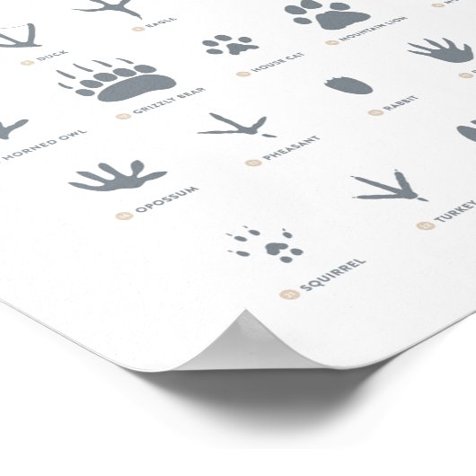 Blauwe dierensporen bosrijke kinderkamer decor poster (Hoek)