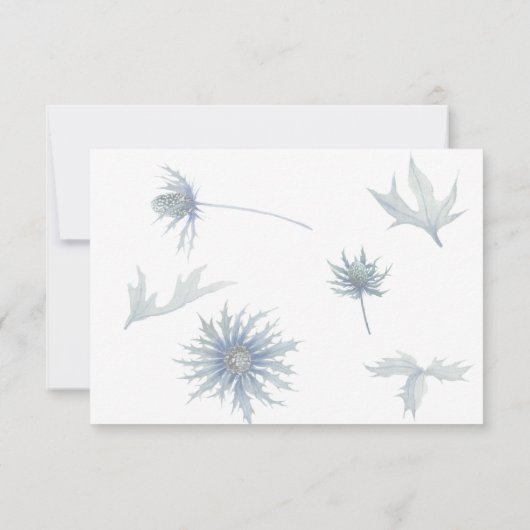 Blauwe Distel Foto Opslag Datum Aankondiging (Achterkant)