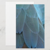 Blauwe doezelaar briefpapier (Voorkant / Achterkant)