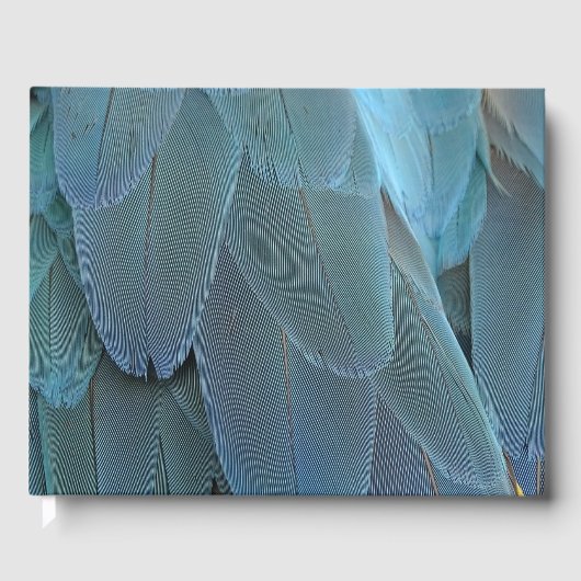 Blauwe doezelaar gastenboek (Voorkant)