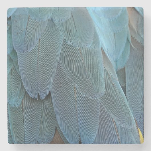 Blauwe doezelaar stenen onderzetter (Voorkant)