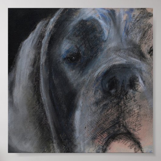 Blauwe Dogge Pastel Portret Poster (Voorkant)