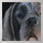 Blauwe Dogge Pastel Portret Poster (Voorkant)