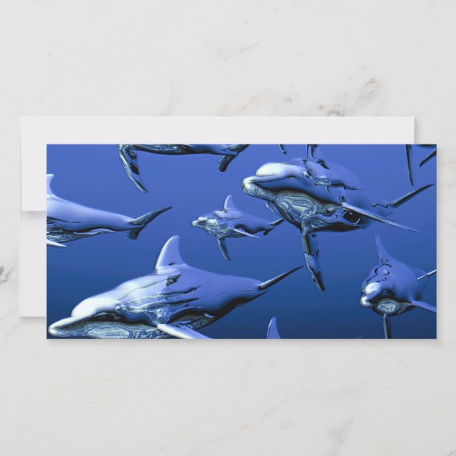 Blauwe dolfijn (Voorkant)