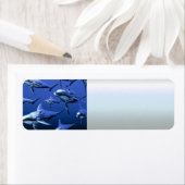 Blauwe dolfijn etiket (Insitu)