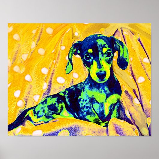 blauwe doxie poster (Voorkant)