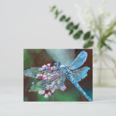 Blauwe dragonfly die op wilde knoflook rust briefkaart (Staand voorkant)