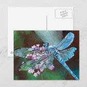 Blauwe dragonfly die op wilde knoflook rust briefkaart (Voorkant / Achterkant)