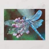 Blauwe dragonfly die op wilde knoflook rust briefkaart (Voorkant)
