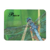 Blauwe Dragonfly kleur potlood kunst op Magnet Magneet (Horizontaal)
