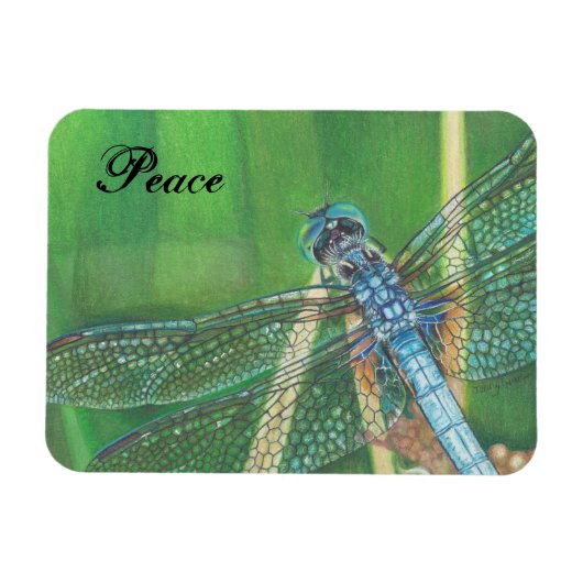 Blauwe Dragonfly kleur potlood kunst op Magnet Magneet (Horizontaal)