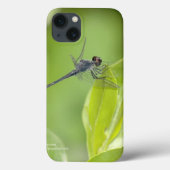 Blauwe Dragonfly op bladeren iPad Case (Achterkant)
