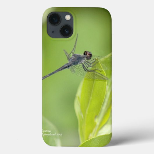 Blauwe Dragonfly op bladeren iPad Case (Achterkant)