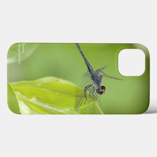 Blauwe Dragonfly op bladeren iPad Case (Achterkant (horizontaal))