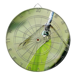 Blauwe Dragonfly op een groen blad Dartbord