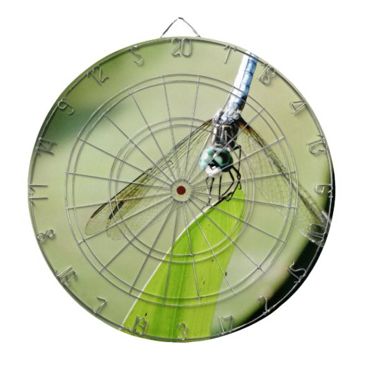 Blauwe Dragonfly op een groen blad Dartbord (Voorkant)