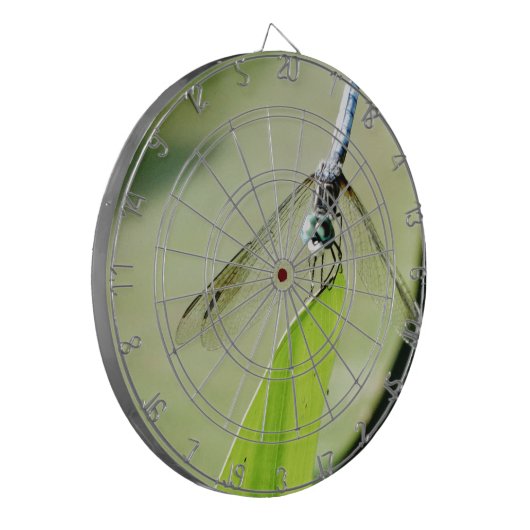 Blauwe Dragonfly op een groen blad Dartbord (Voorkant Links)