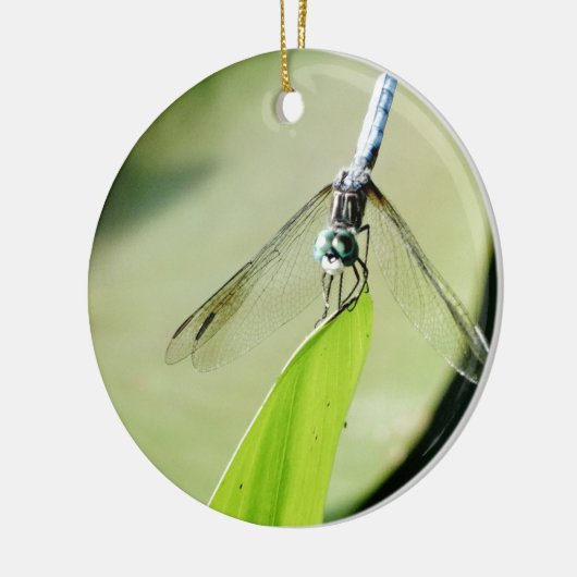 Blauwe Dragonfly op een groen blad Keramisch Ornament (Links)