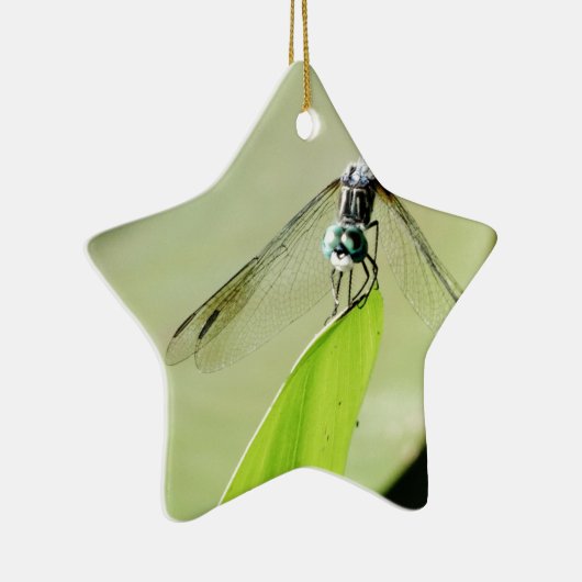 Blauwe Dragonfly op een groen blad Keramisch Ornament (Rechts)