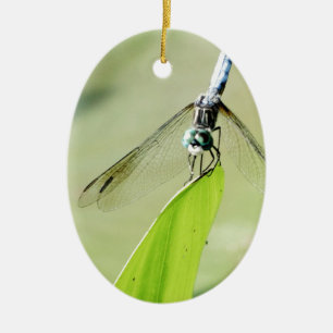 Blauwe Dragonfly op een groen blad Keramisch Ornament