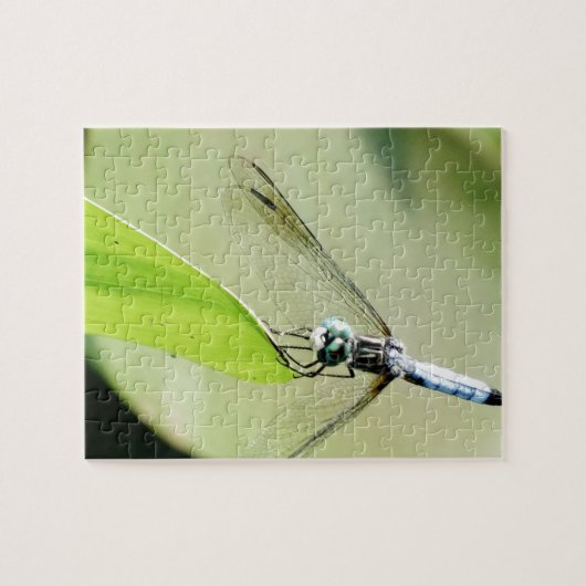 Blauwe Dragonfly op een groen blad Legpuzzel (Horizontaal)