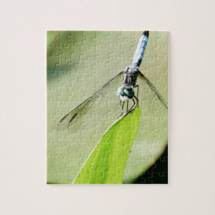 Blauwe Dragonfly op een groen blad Legpuzzel