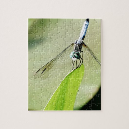 Blauwe Dragonfly op een groen blad Legpuzzel (Verticaal)